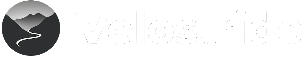 VeloStride Logo
